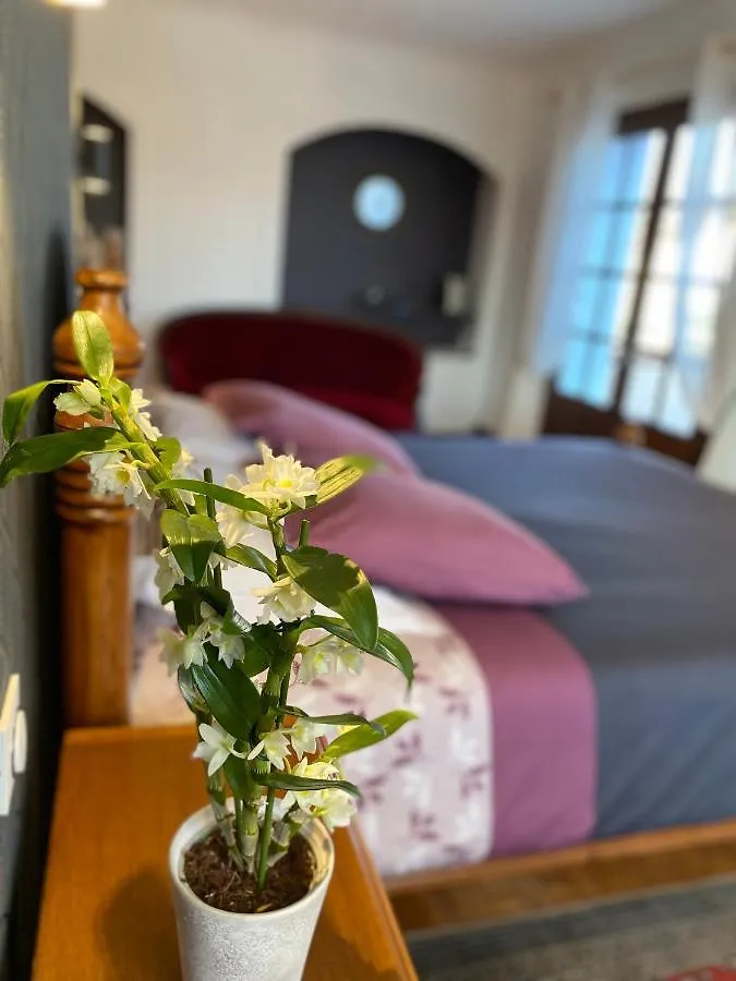 Domaine De La Provencale Bed & Breakfast Saint-Didier-de-la-Tour France