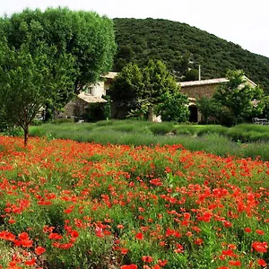 Le Mas De La Fontaine Bed & Breakfast